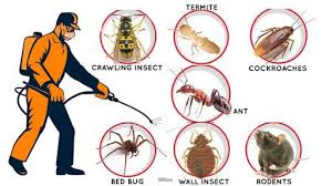 Insect Control