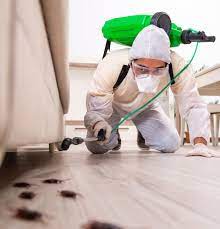 Termite Control